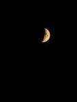 IMG_20190806_204731.jpg