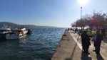 IMG_20191216_125300.jpg