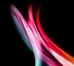 IMG_4604.PNG