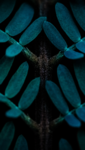 01 (9).png