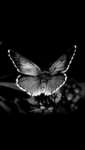 01 (10).png