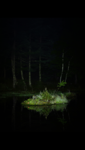 01 (28).png