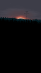 01 (29).png