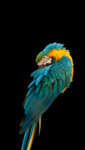 01 (40).png
