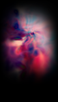 01 (43).png