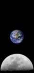 01 (58).png