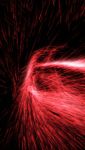 01 (61).png