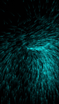 01 (64).png