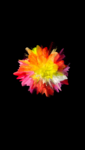 01 (76).png