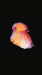 01 (83).png