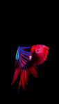 01 (88).png