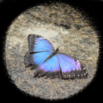 01 (99).png