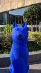 IMG_20191103_104418.jpg