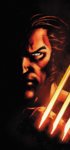 Wolverine.jpg