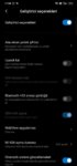 Screenshot_2020-03-17-17-04-21-555_com.android.settings.jpg