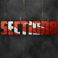 Section8