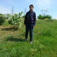 SelAdam