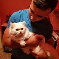 Mabravci