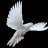 Txs.rohat