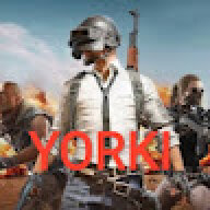 Yorki