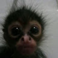 osmanss1