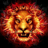 Hasaer