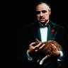 The GODFATHER