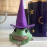 Wizard Frog