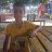 sait111222