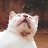 Emin_292929